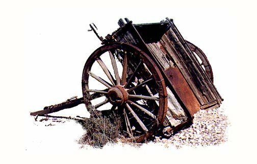 Photograph
