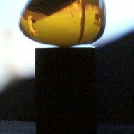amber-shape