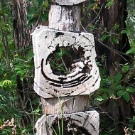 early-pond-stack