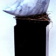 marble-bird