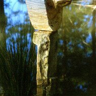 spiral-in-pond