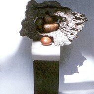 tree-crotch-and-balls